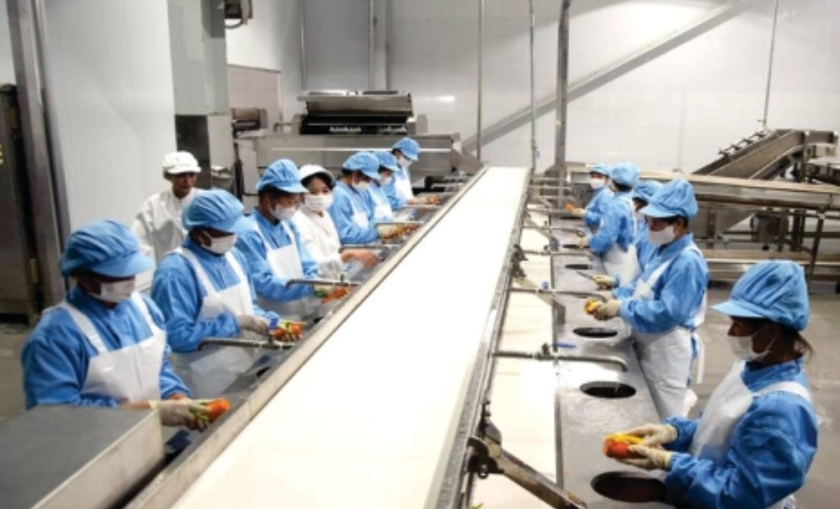 Dự án nhà máy chế biến các sản phẩm từ nông nghiệp